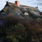 Das blaue Haus von hinten