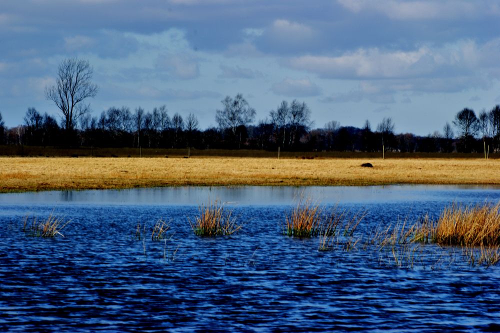 Das Blaue "Meer"