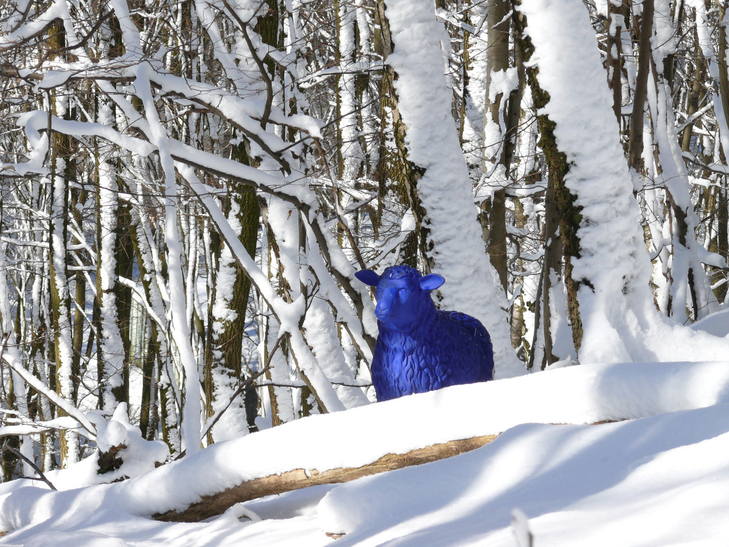 Das blaue Schaf im winterlichen Sauerland