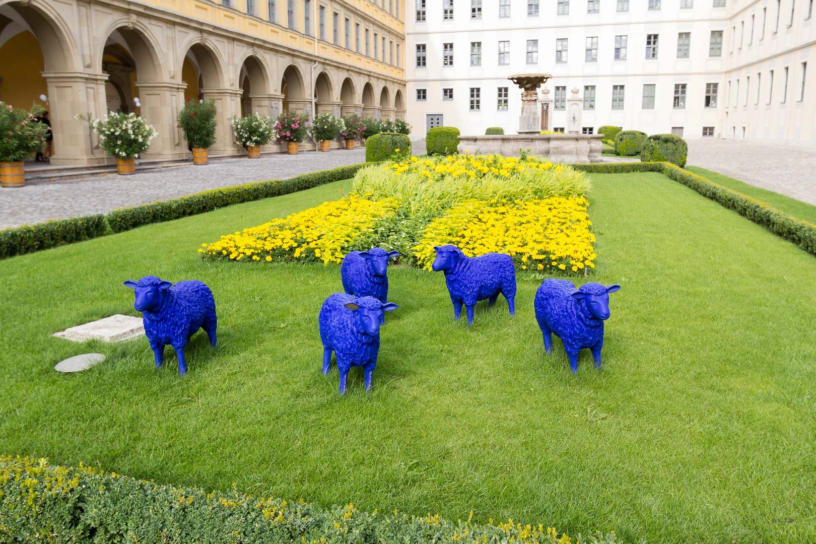 das "blaue" Schafe