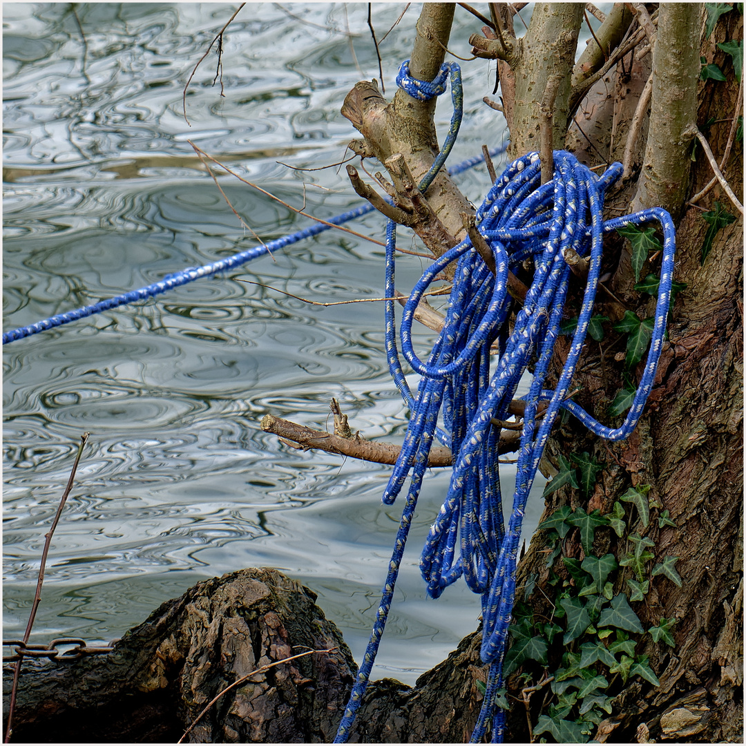 Das blaue Seil