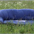 das blaue Sofa