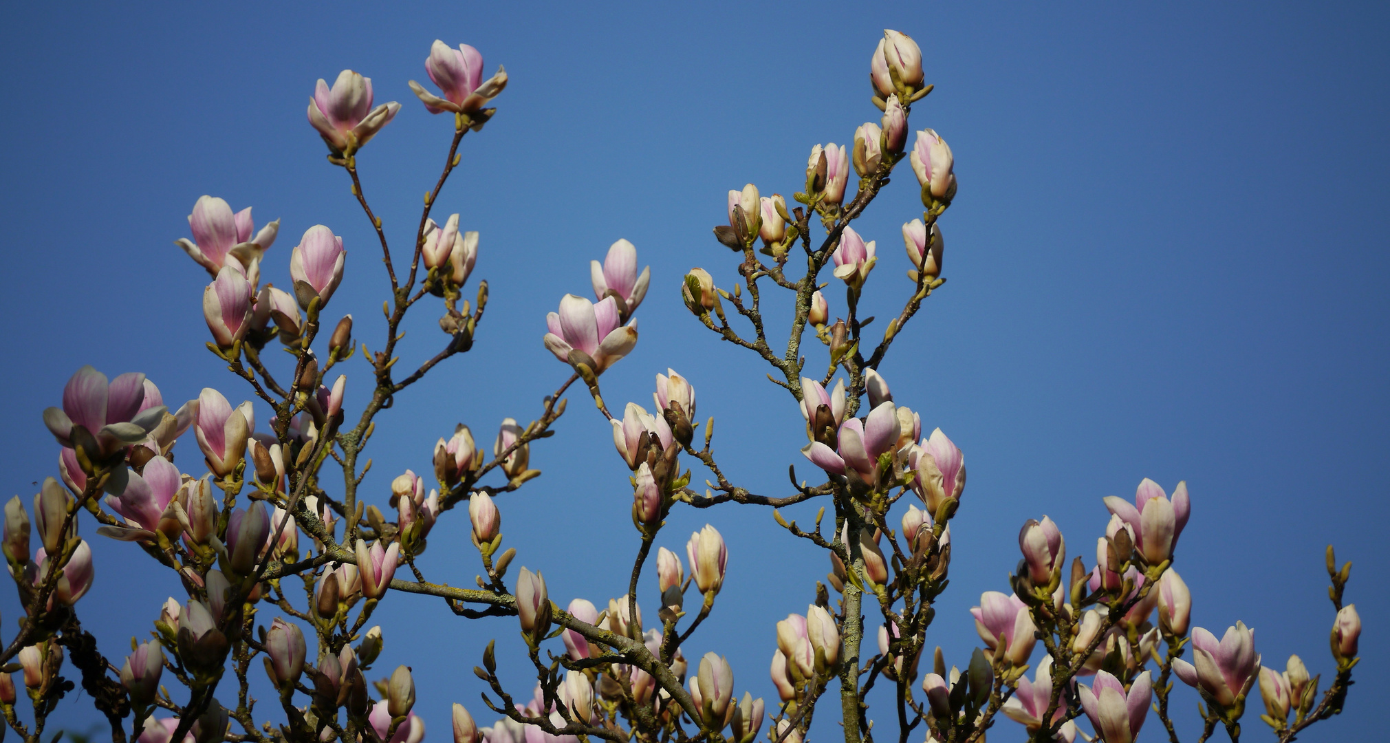 das Blaue vom Himmel... 