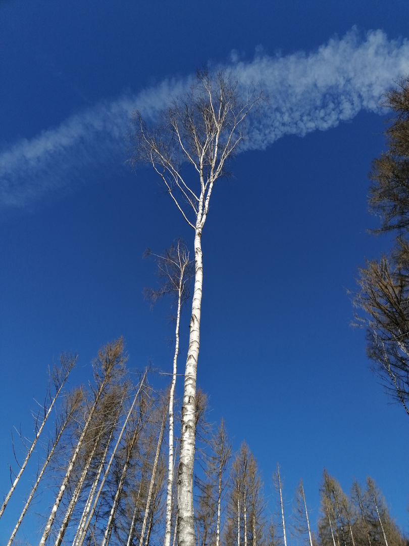 Das Blaue vom Himmel 