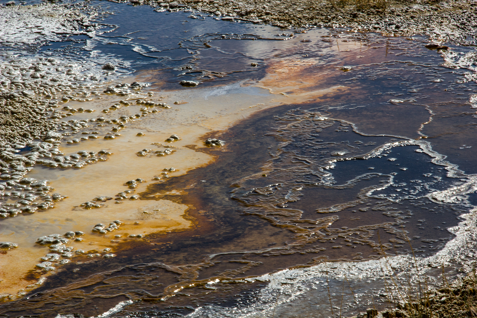 das blaue Wunder des Yellowstone N.P.