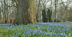 das blaue Wunder von Linden