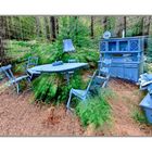 - das blaue Zimmer im Wald -