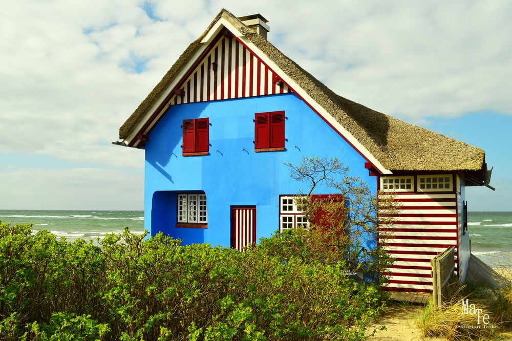 Das blaus Haus