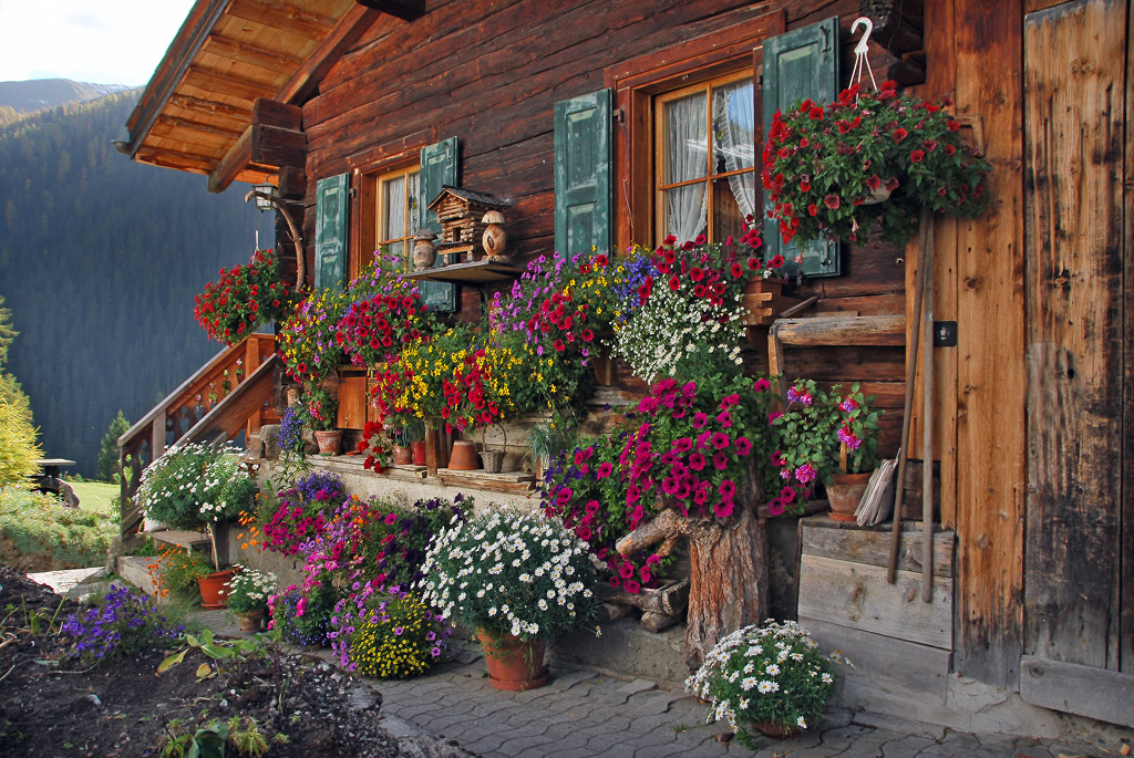 Das Blumen Haus Foto Bild europe schweiz Das Blumen Haus Foto Bild europe schweiz