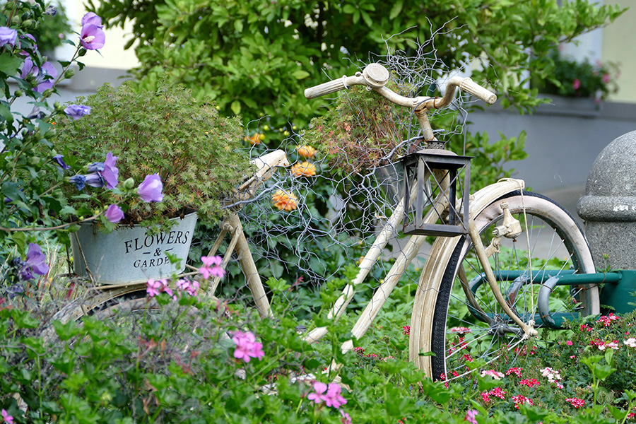 Das Blumenfahrrad...