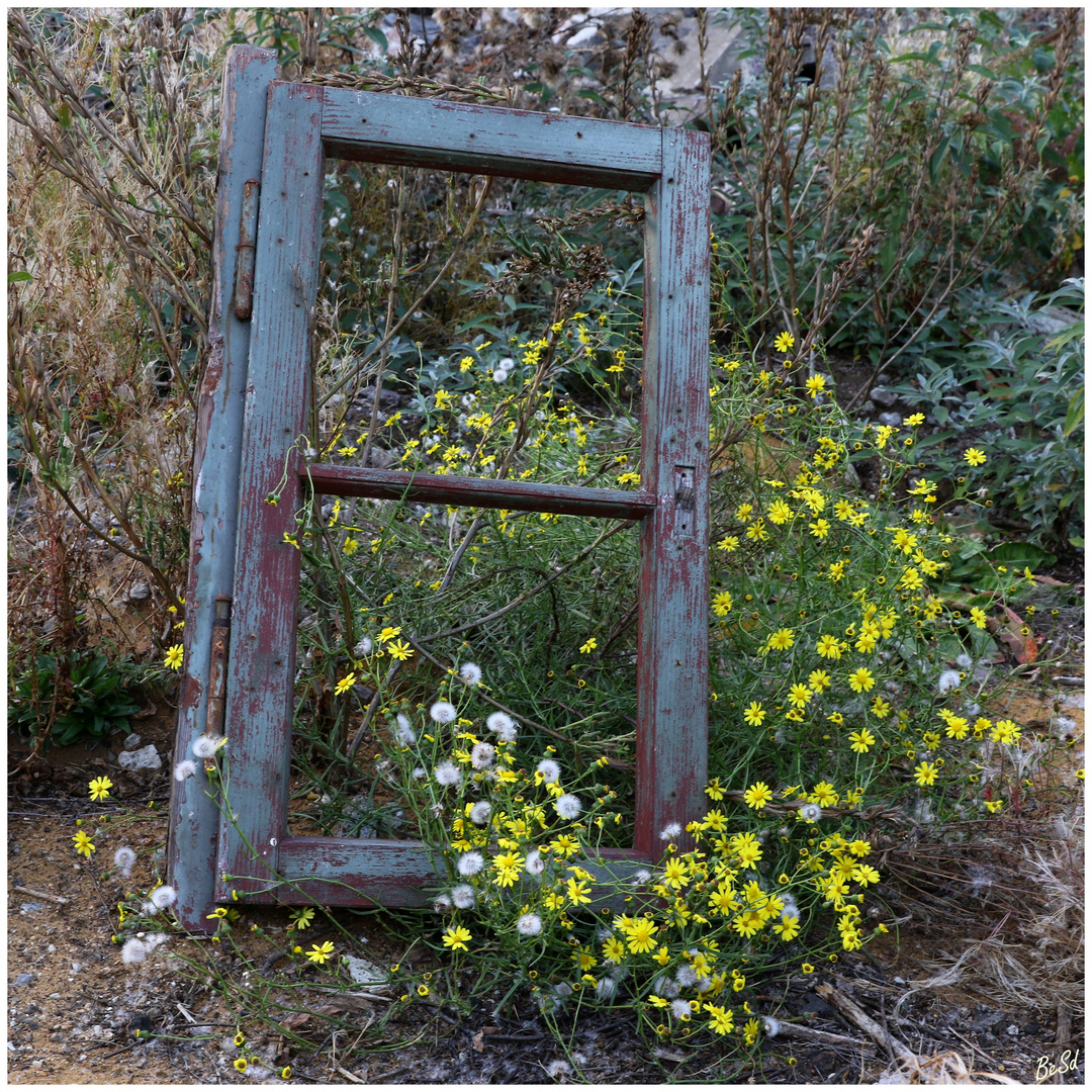 " Das Blumenfenster "