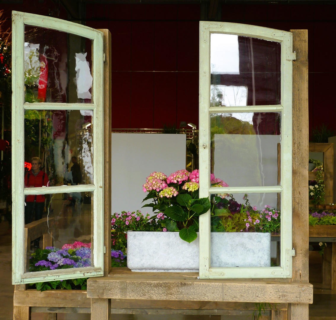 das Blumenfenster