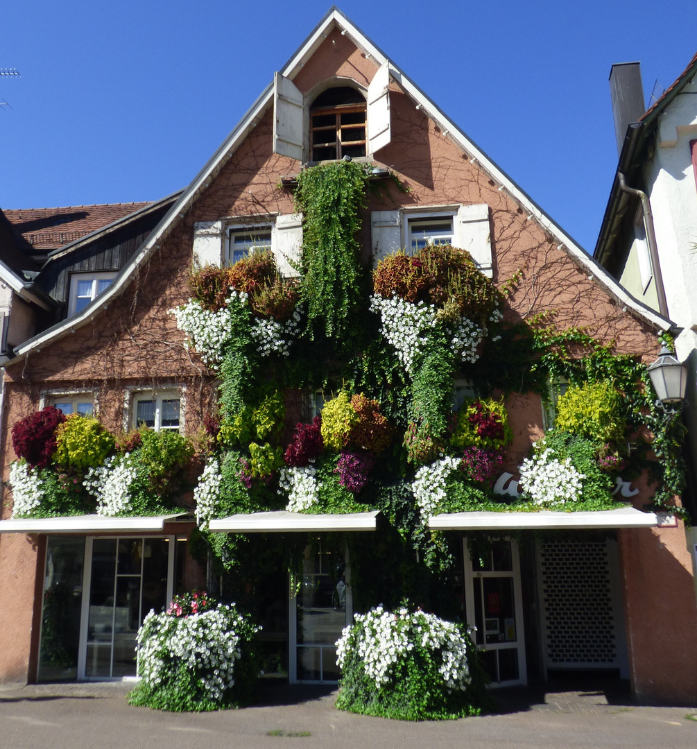 Das Blumenhaus in Schorndorf