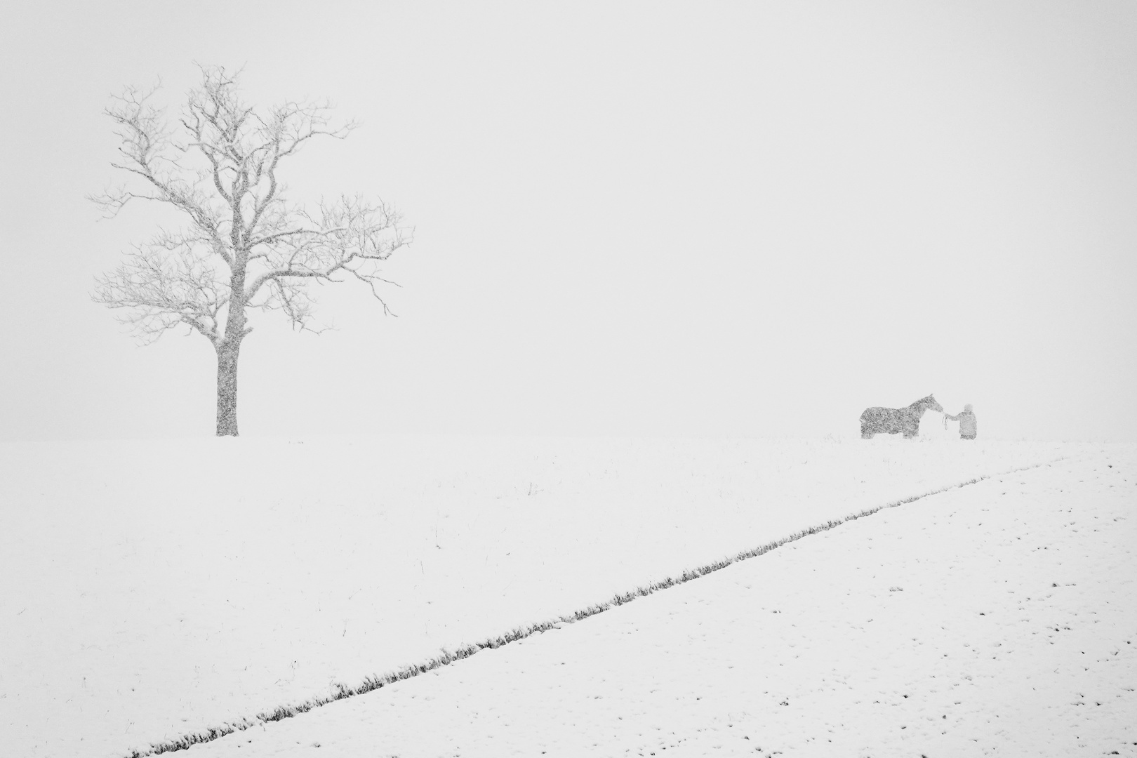 Das " bockende " Pferd....