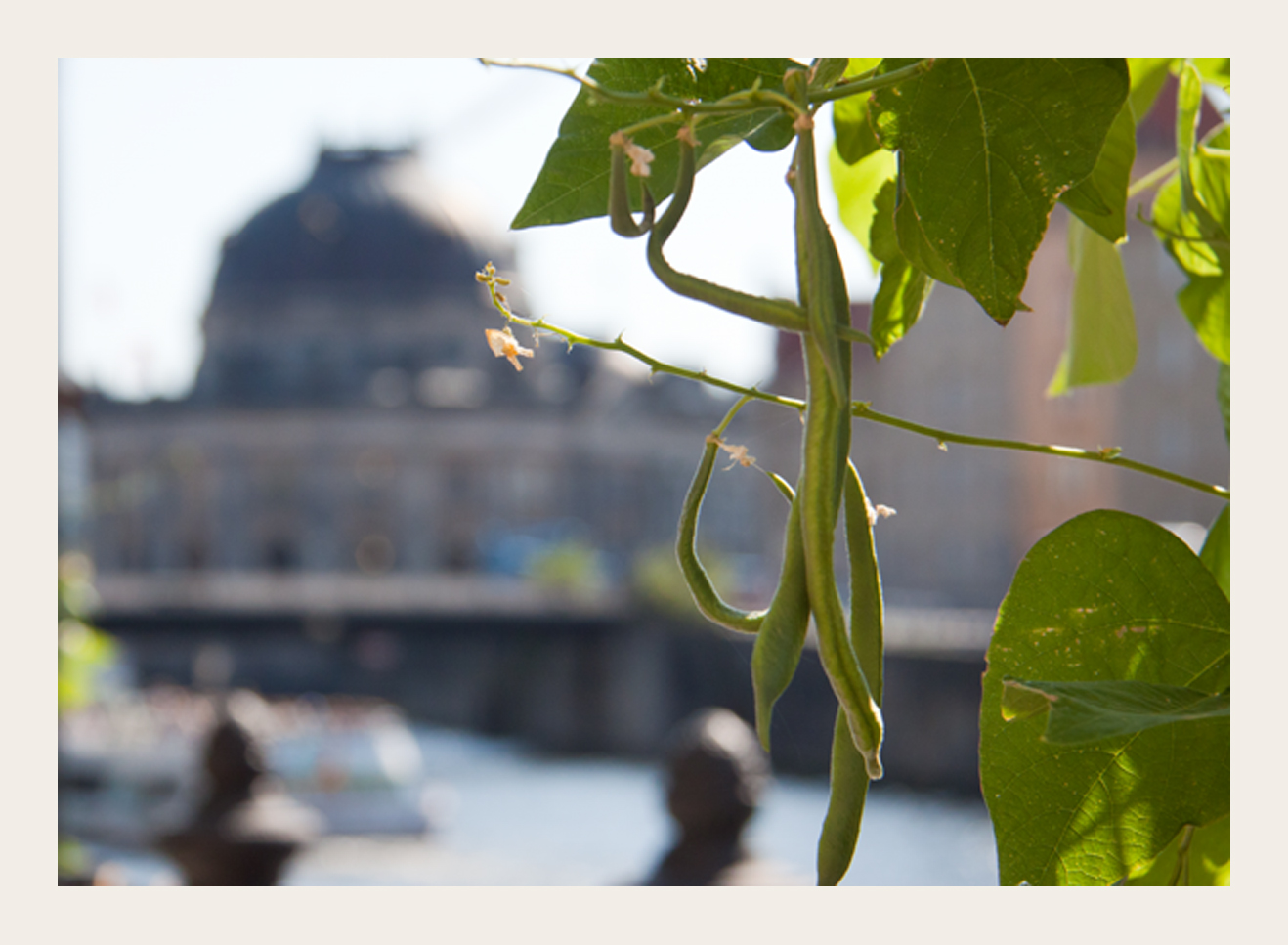 das Bodemuseum