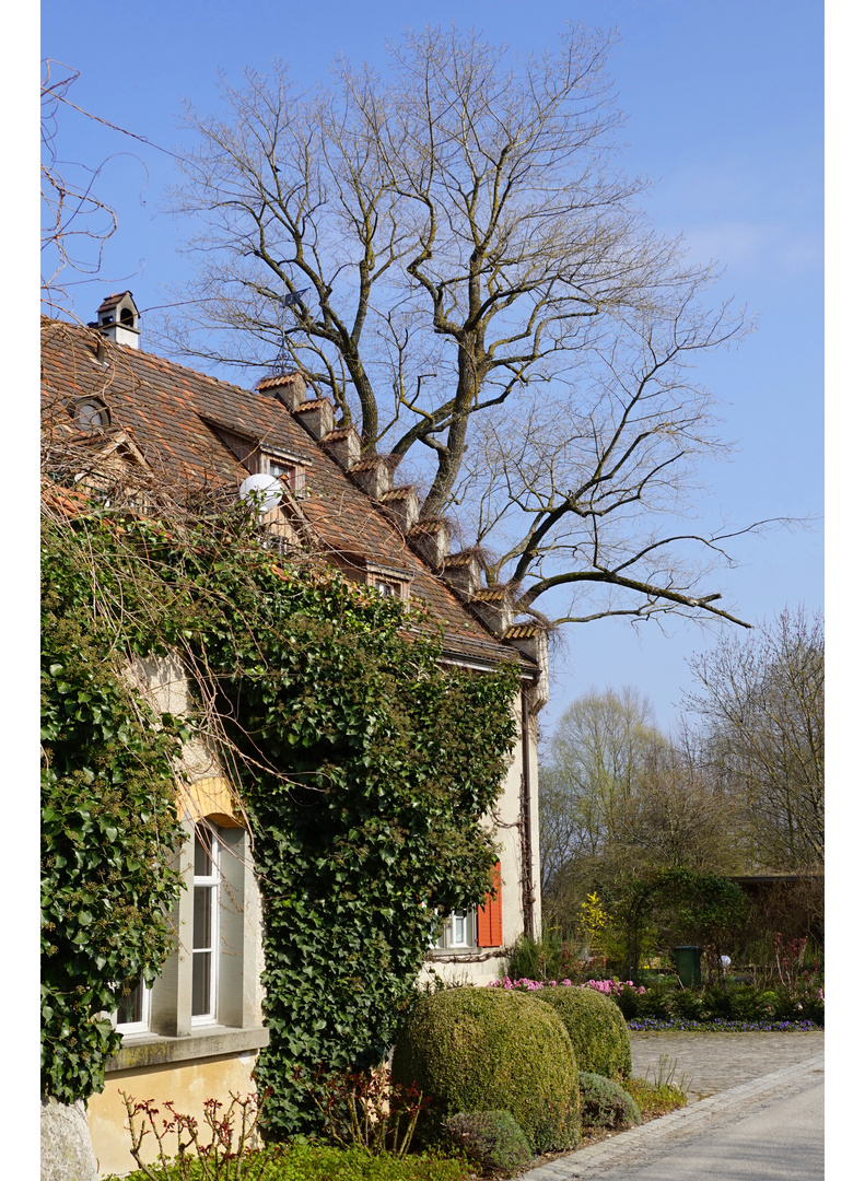 Das Bodensee-Museum