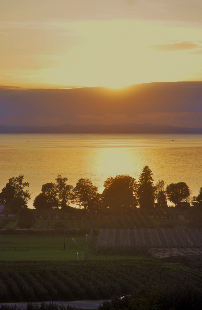 das Bodenseeufer im Sonnenuntergang