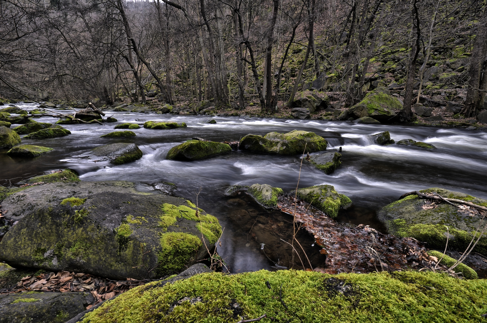 Das Bodetal (1)