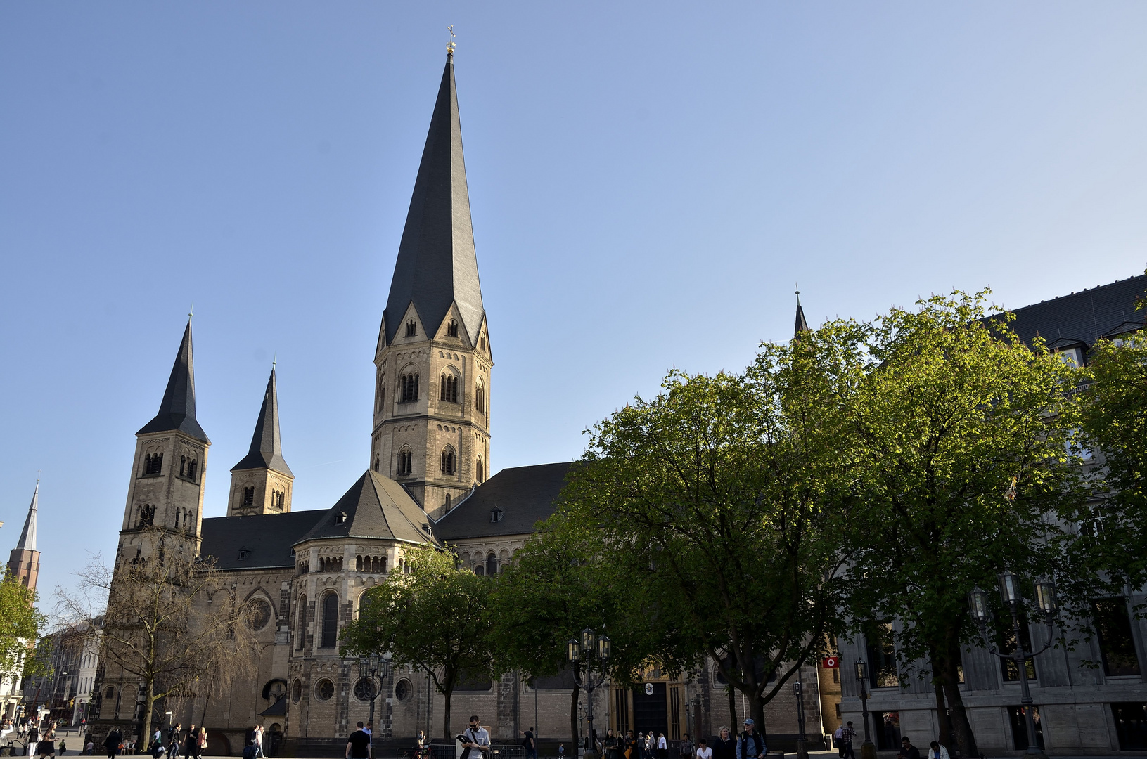 Das Bonner Münster