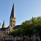 Das Bonner Münster