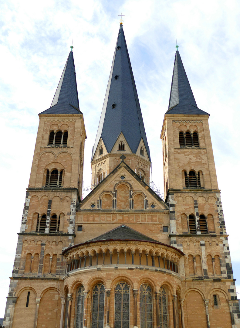 Das Bonner Münster