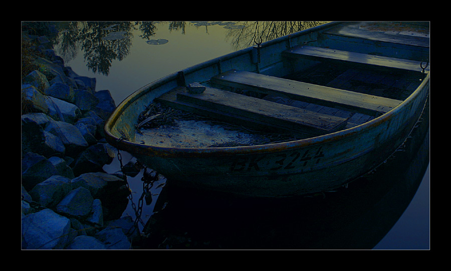 das Boot am See von Susanne I.