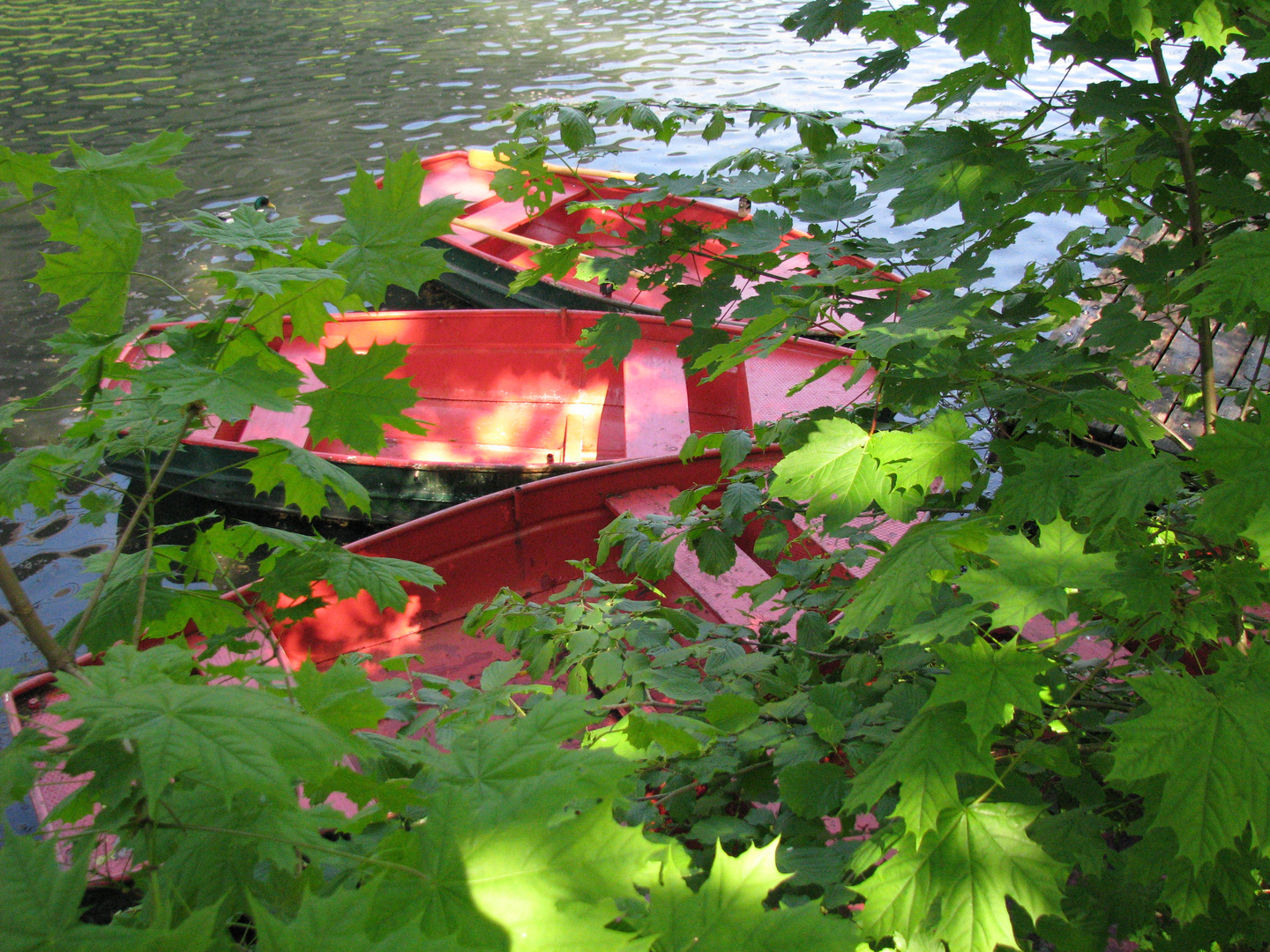 das Boot, die Boote, die .....