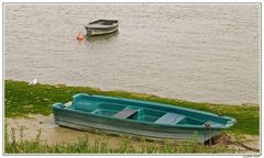 Das Boot im Grünen