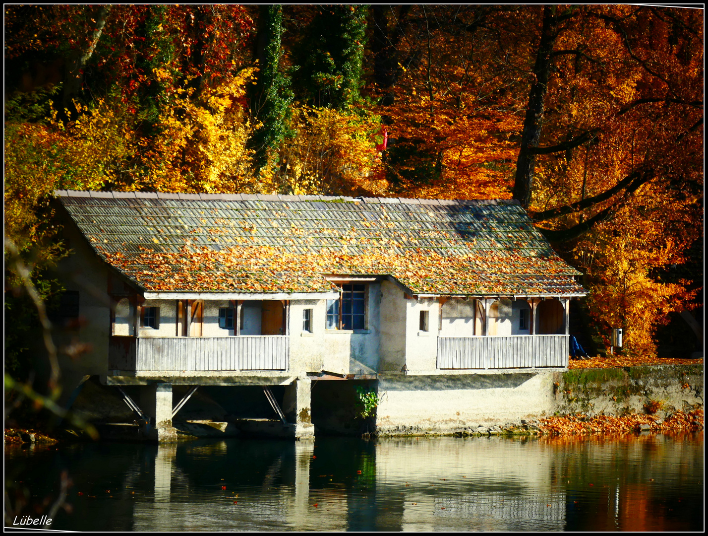 Das Bootshaus am herbstlichen Rhein