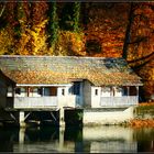 Das Bootshaus am herbstlichen Rhein