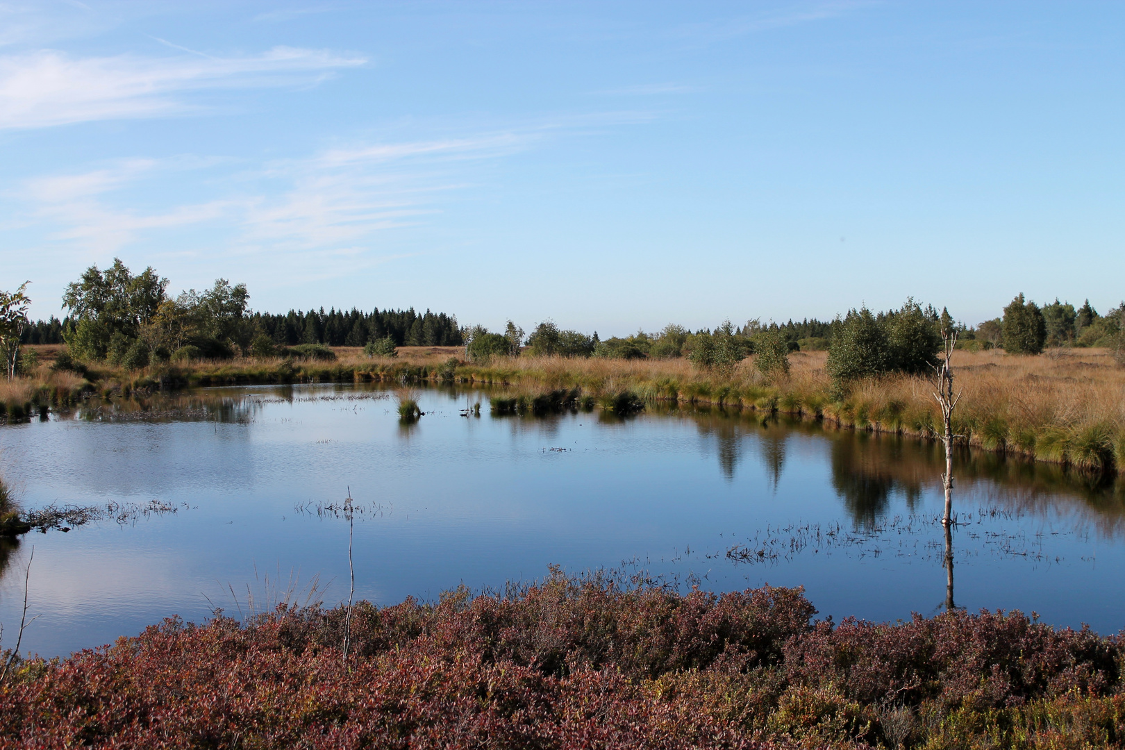 Das Brackvenn im Herbst