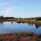 Das Brackvenn im Herbst