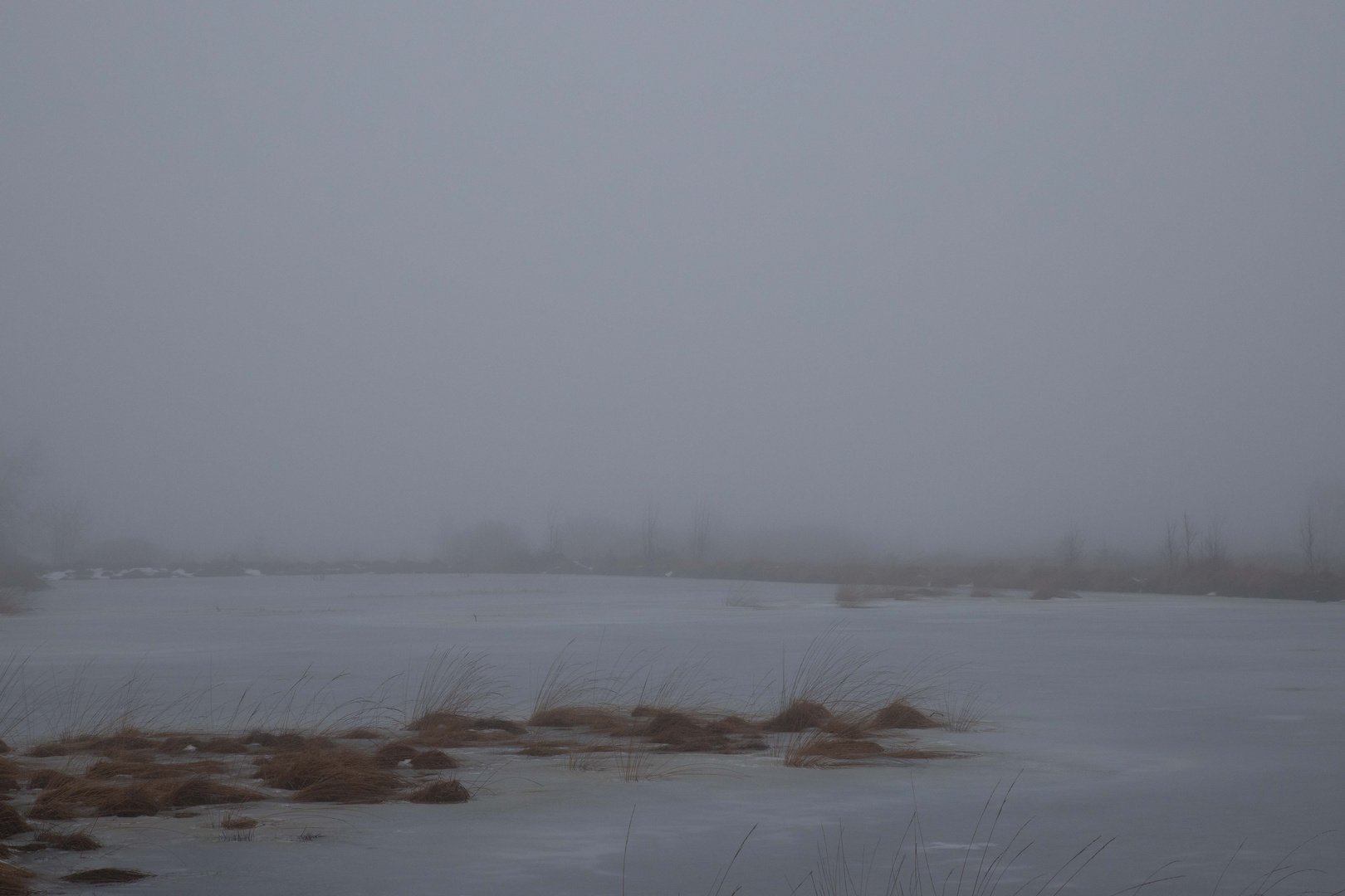 das Brackvenn im Nebel