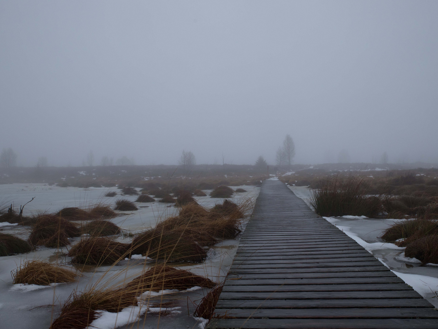 das Brackvenn im Nebel