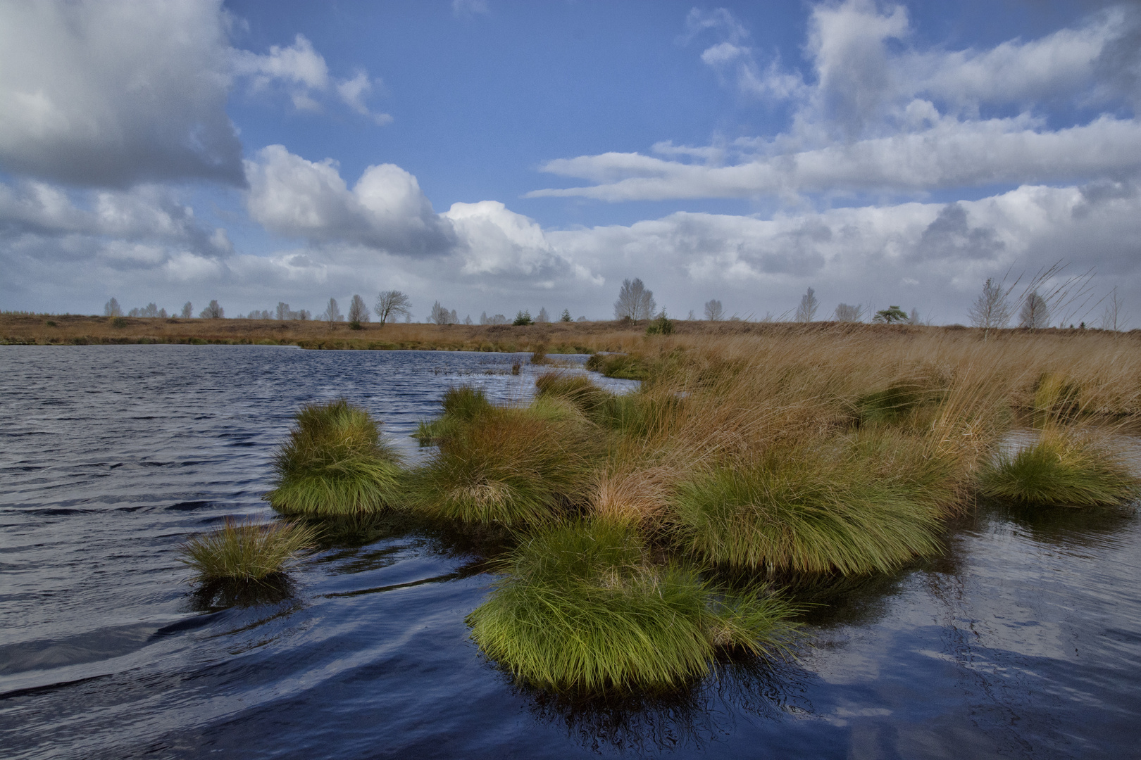 Das Brackvenn in Belgien