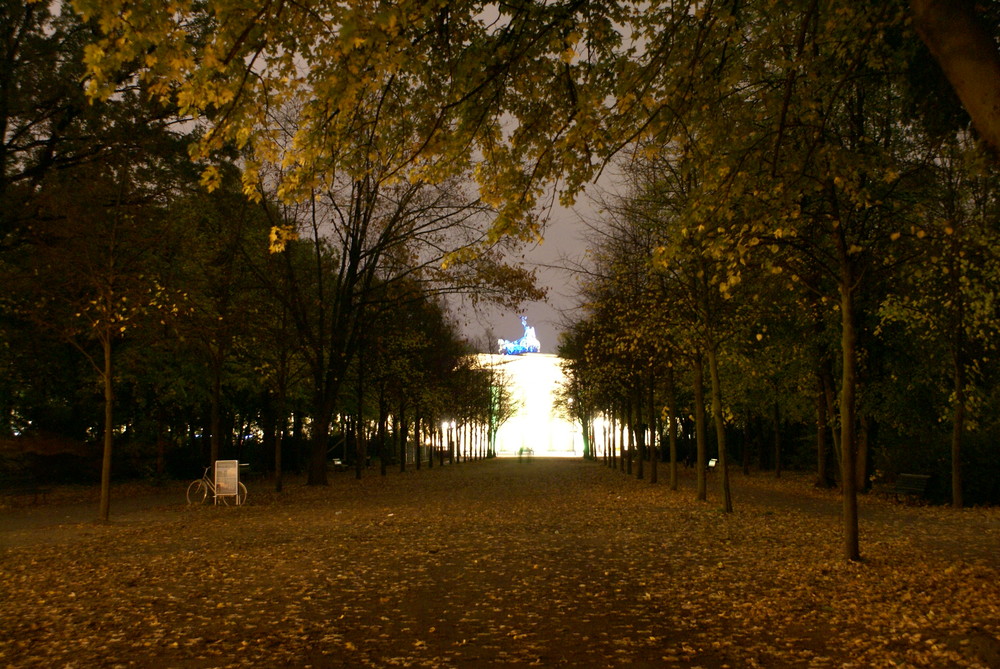 Das Brandenburger Tor durch den Tiergarten