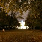 Das Brandenburger Tor durch den Tiergarten