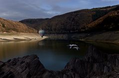 Das Brautpaar am See