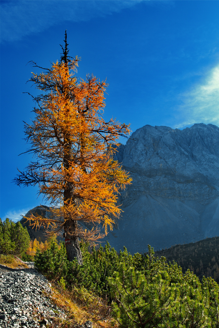 Das Brennen im Karwendel