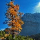 Das Brennen im Karwendel