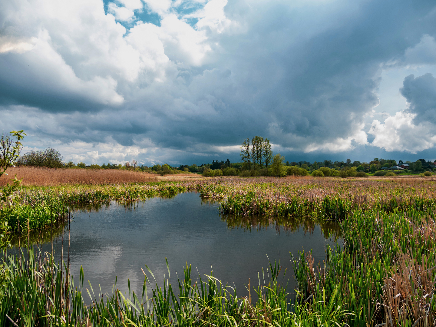 Das Brenner Moor......