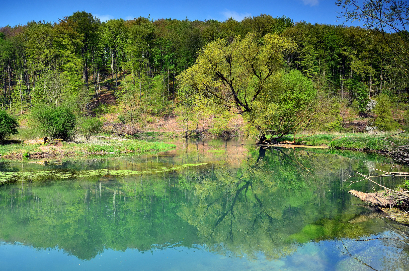 Das Brenztal Foto Bild Landschaft Bach Fluss See Flusse