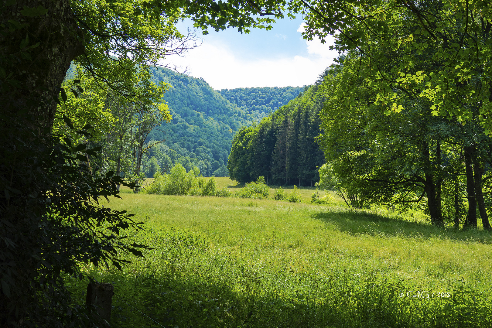 Das Brühlbachtal 