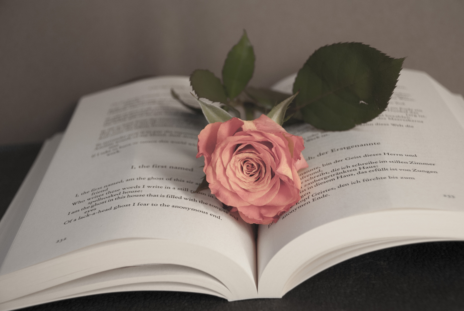 "Das Buch ist wie eine Rose, beim Betrachten der Blätter öffnet sich dem Leser das Herz..."