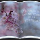 DAS BUCH ÜBER DEN FRÜHLING