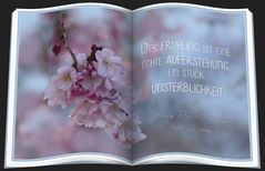 DAS BUCH ÜBER DEN FRÜHLING