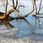 Das Büblein steht am Weiher ...