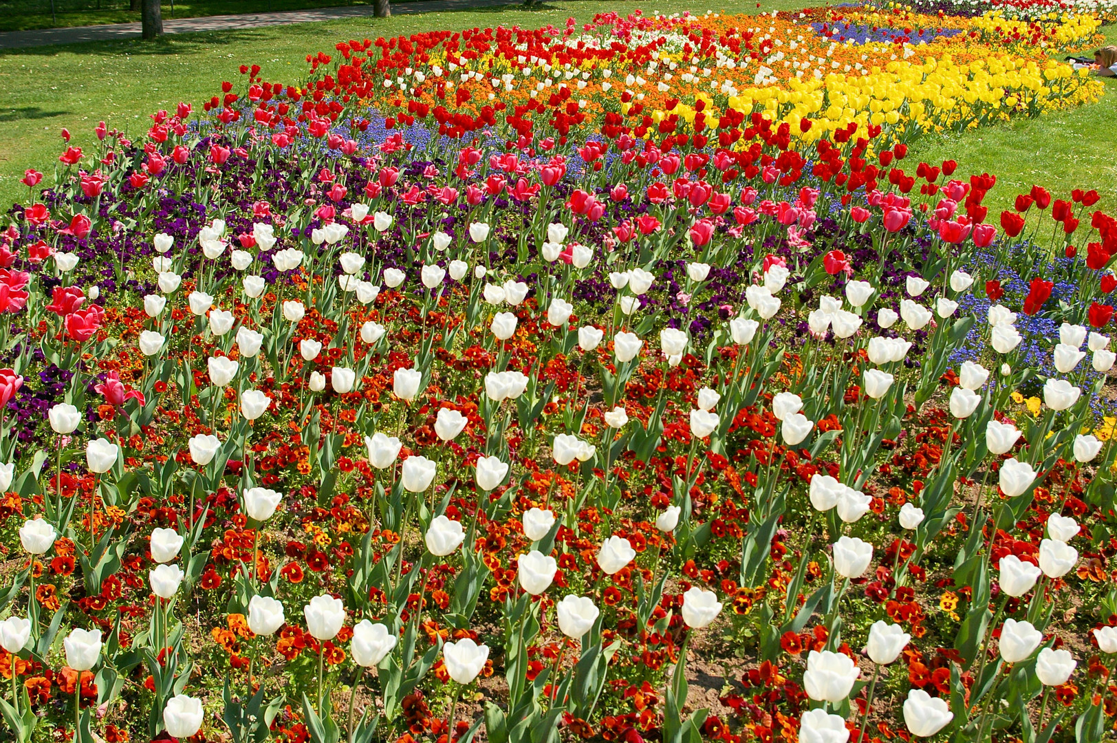 das bunte Band des Frühlings