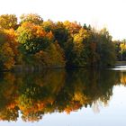 Das bunte Herbstlaub leuchtet um die Wette