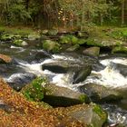 Das "Butterfass" im Waldnaabtal